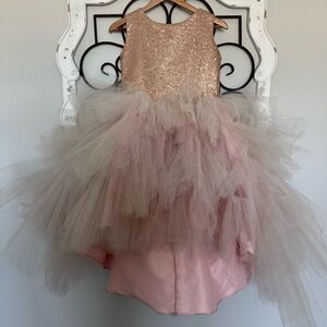 Girls Size 12/14 Pink Sparkly Pageant High Low Fancy Dress with Tulle